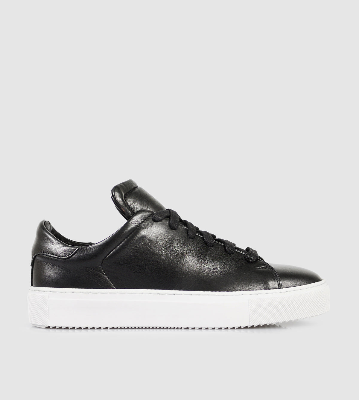 Babette Low Top Sneakers by Sempre Di