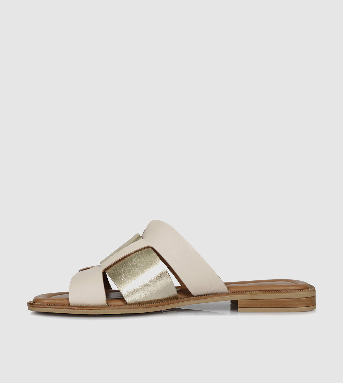 Clyde Slides