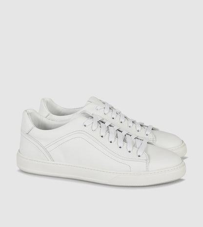 Clifford Low Top Sneakers by Brando
