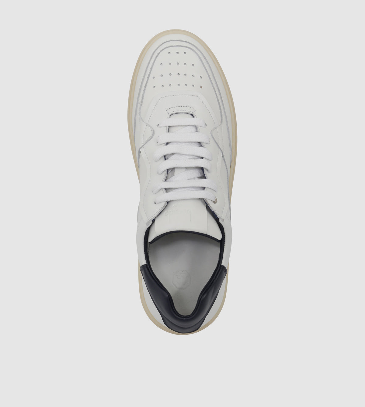 Cary Low Top Sneakers by Brando By Corvari